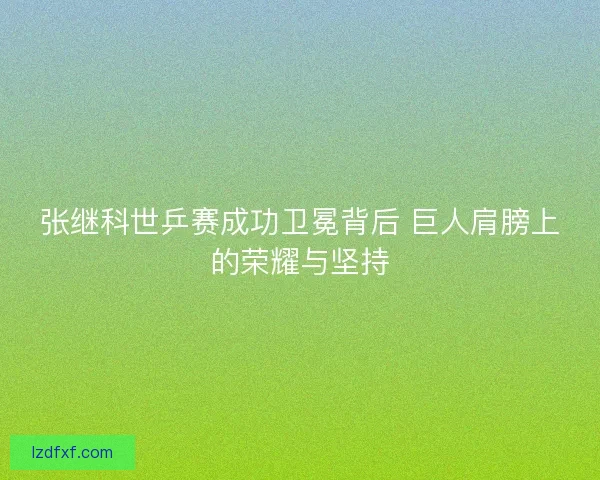 张继科世乒赛成功卫冕背后 巨人肩膀上的荣耀与坚持